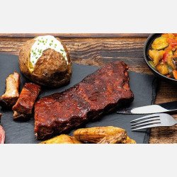 RIBS